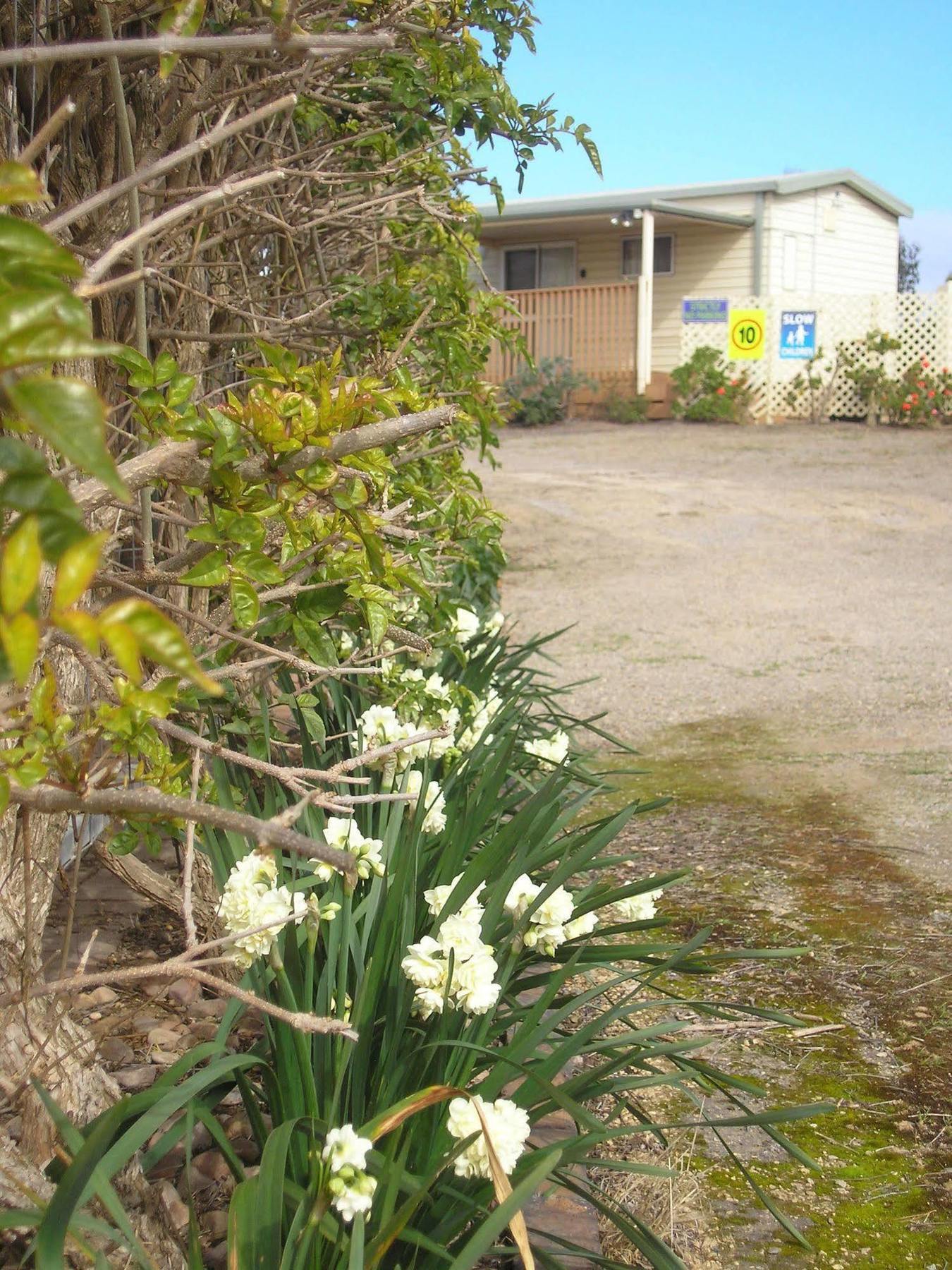 Moonta Bay Accommodation Port Moonta Eksteriør bilde